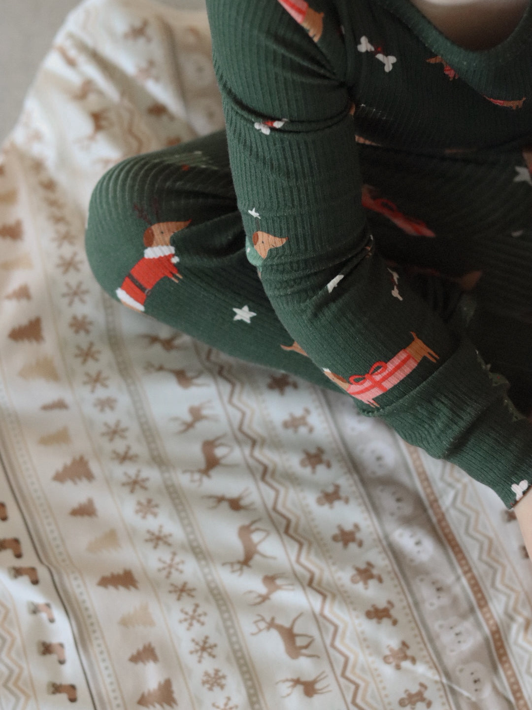 Little Zippers in Jingle Pups