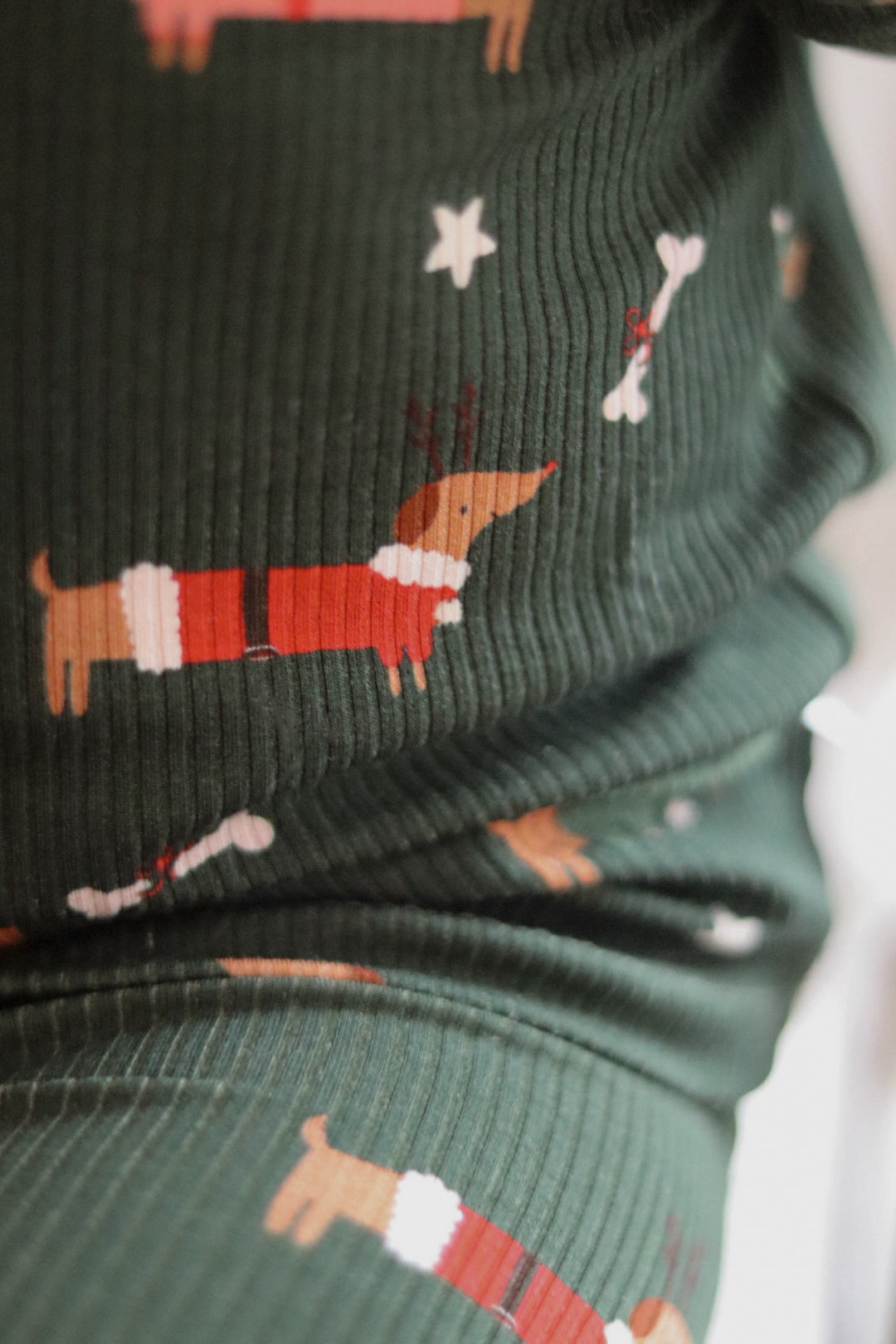 Little Zippers in Jingle Pups