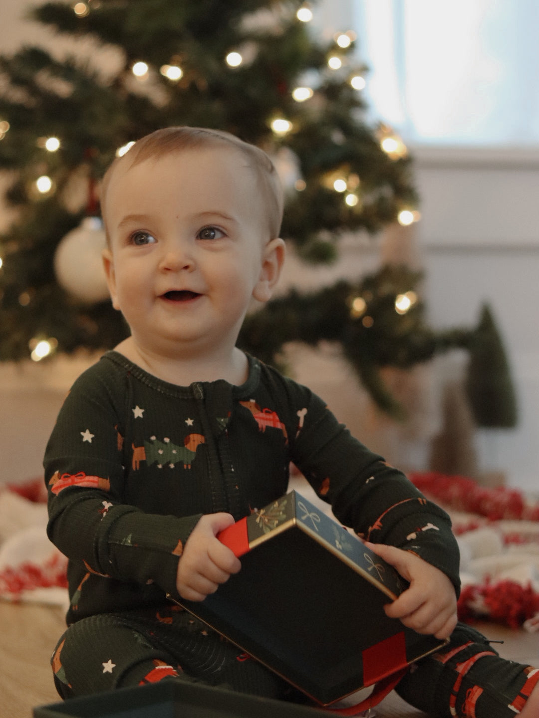 Little Zippers in Jingle Pups