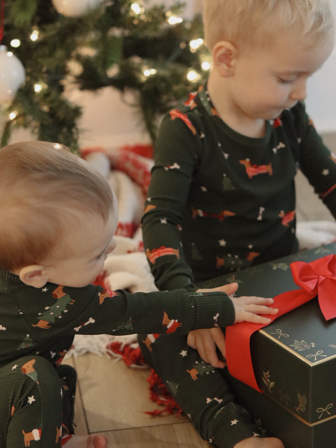 Little Zippers in Jingle Pups
