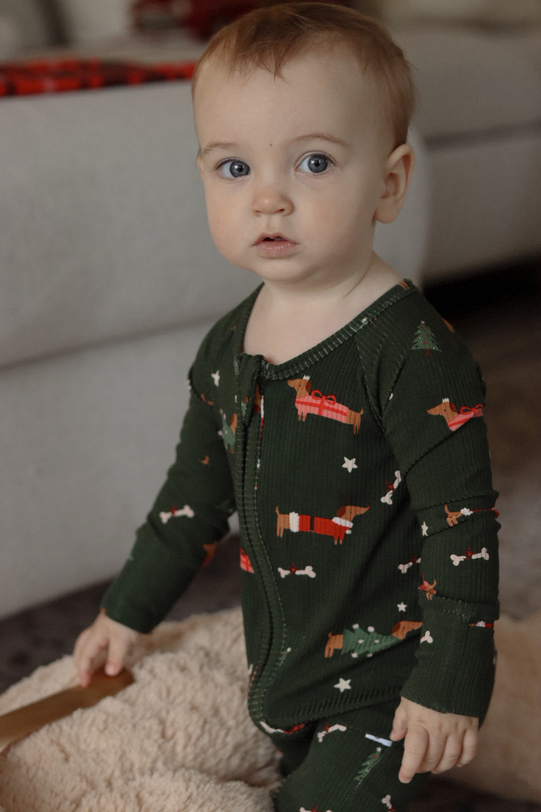 Little Zippers in Jingle Pups