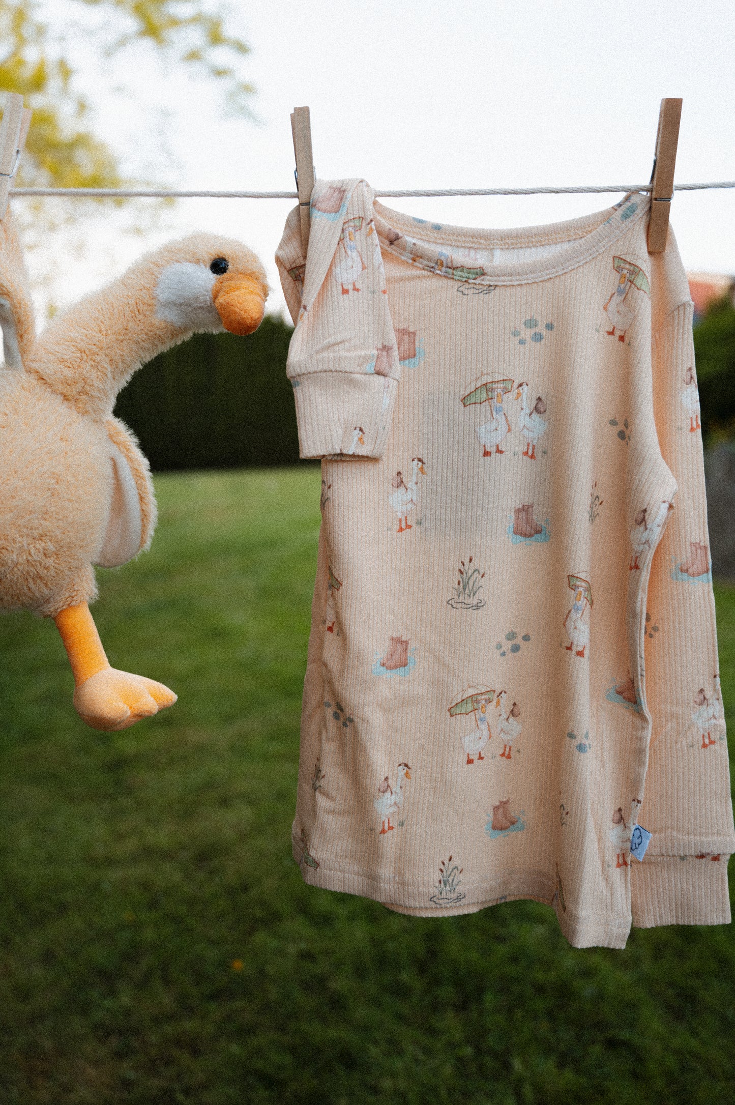 Slumber Pajama Set in Silly Goose