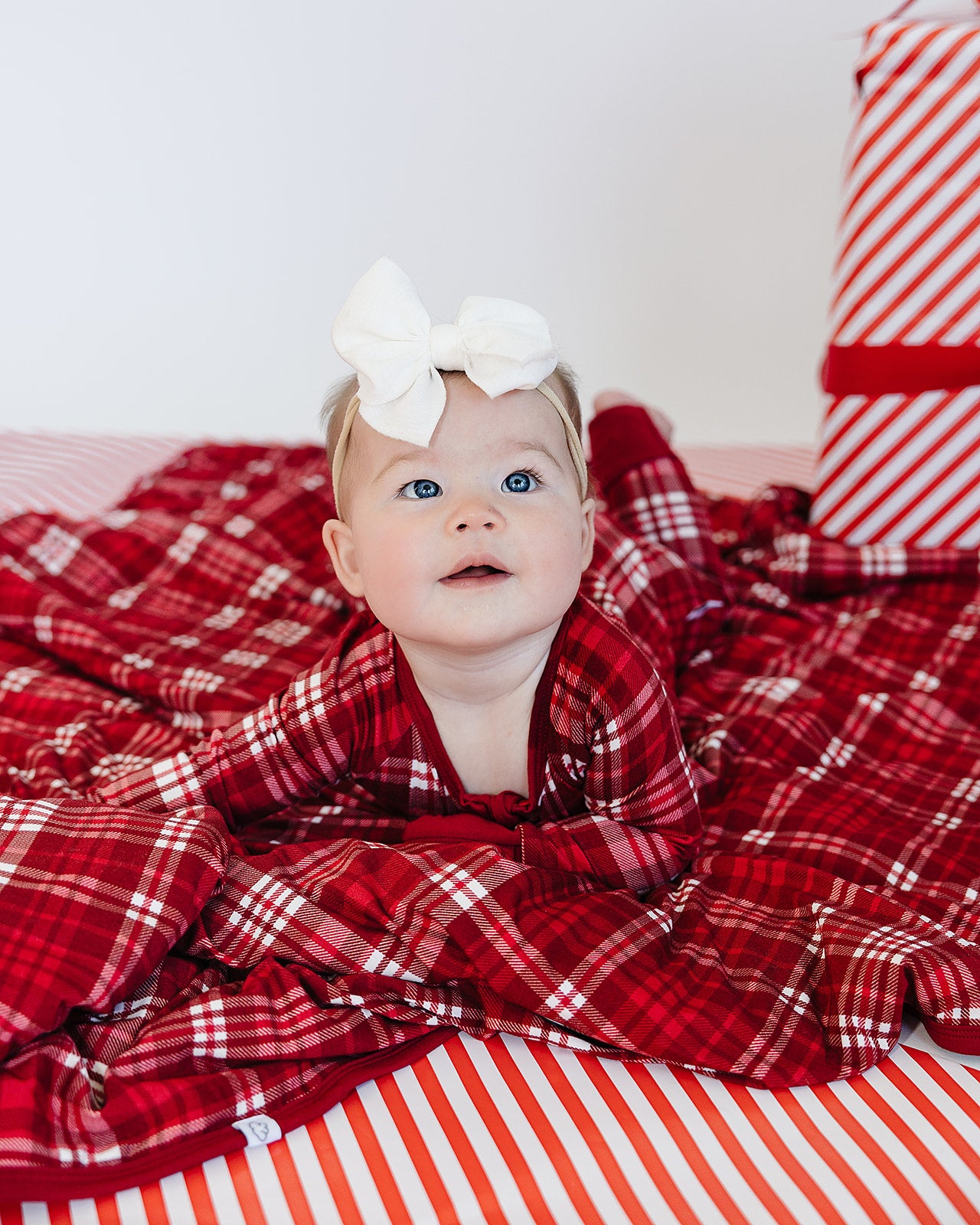 Little Zippers in Cardinal Plaid